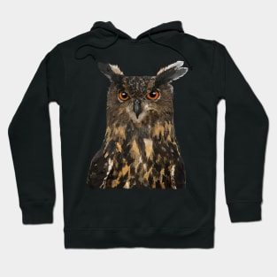 Royal Owl Hoodie